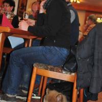 Album113 2013 beginnt mit dem Pro Eurasier-Drei- königstreffen im Süden.
