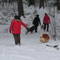 Im Wald ging es dann auch manchmal steil bergauf.