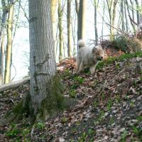 Album2006_04