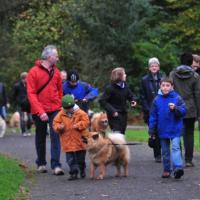 Viele Eurasier waren am 16. und 17. Oktober in Nümbrecht zu sehen. 