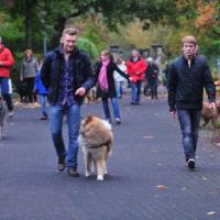  Album35 Jubiläum 50 Jahre Eurasier in Nümbrecht