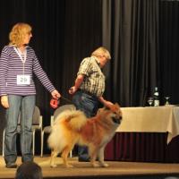  Album35 Jubiläum 50 Jahre Eurasier in Nümbrecht