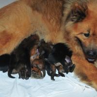 Wir sind nun 4 Tage alt. Now, we are four days old. Maintenant nous avons quatre jours. 