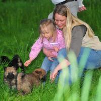 Ich freue mich sehr, daß einige meiner Welpen zu Familien mit Kindern kommen. I'm so glad, that some of my puppies come to families with children. Je suis heureuse, que quelques chiots viennent à familles avec d'enfants. 