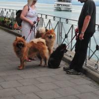 Album59 12 Wochen, Besuch