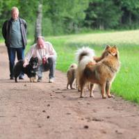 Familientreffen, Betty und Einstein von der Veitsburg samt Eltern Eyko-Jacomo vom Bahnhof-Zoo und Désirée des Légendes de Retz. 