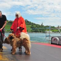 Mit seinem neuen Herrchen geht es mit der Fähre Meersburg/Konstanz über den Bodensee.