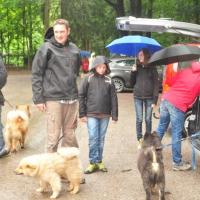 Und los ging's ins Wildgehege, der Regen ließ nach und wir waren alle wetterfest ausgerüstet, wie es sich für gute Eurasierhalter gehört. 