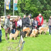 Von links, Bellissa, dahinter Bella, Balu, Eyko-Jacomo, Désiréé, dahinter versteckt Bérénice und Einstein, dann Farina und Eddy. 