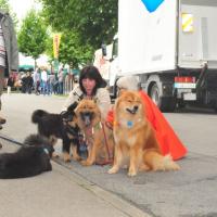 Eine Verschnaufpause in dem Rummel, Einstein und Balu mit ihren Eltern Désirée und Eyko-Jacomo. 