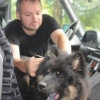 Album65 Auf dem Pfänder, Abschied von Einstein, 1.Besuch im Harz und IHA Innsbruck.