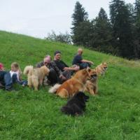 Album69 Eurasier-wochenende, Sonntag, 4.9.,Treffen auf dem Pfänder