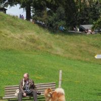 Album69 Eurasier-wochenende, Sonntag, 4.9.,Treffen auf dem Pfänder