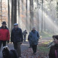 Album79 Ra- vensburger Weihnachts- feier, Besuch im Automuse- um. 27.11.2011
