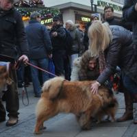 Album80 Dezember 2011