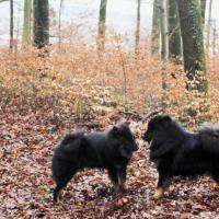 Das Neue Jahr 2012 hat begonnen, Dreikönigs- treffen, Be- gegnungen. 