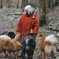 Da freut sich das Züchterfrauli, wenn sie von ihren Hundchen umgeben ist. The breeder is happy, if she is surrounded by her dogs. L'éleveuse est heureuse, quand elle a tout autour leurs Eurasiers. 