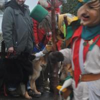 Album85 Also doch! Fasnet mit Einstein.