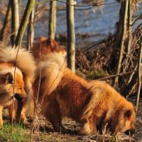 Album93 März Berlin ist eine Reise wert! Betty, Appro- bationsfeier und Luna.